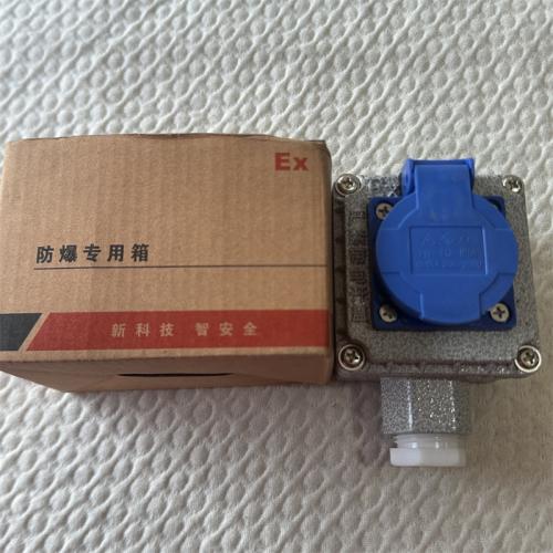 防爆专用箱五孔10-16A 200-250V