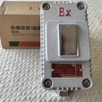 防爆墙壁（插座）开关BQK-220V10A