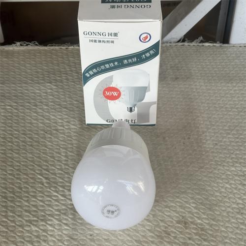 国能G03球泡灯30W