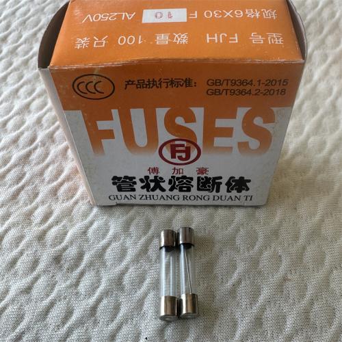 付加豪管状熔断体6*30 F10AL250V