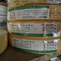鑫康辉纯紫铜电缆2*1