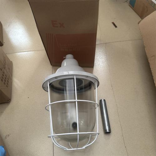 隔爆型防爆白炽灯220W/400W