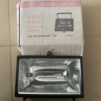 九州太阳灯草地射灯1000W