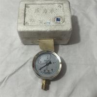 雷尔达耐震压力表0-16