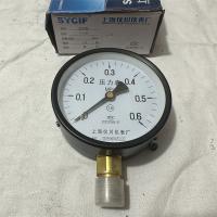仪川压力表100 0-0.6