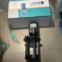 三相电泵 机床泵40w 90w 125w 250w