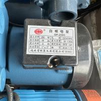 银象自吸电泵220v 250w