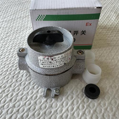 防爆照明开关SW-10