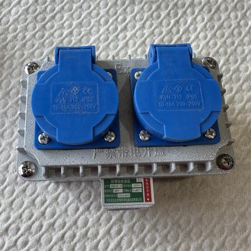 防爆墙壁插座 BQK AC-10 双五孔