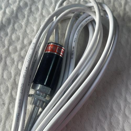 热电偶传感器WZP-10 分度号PT100