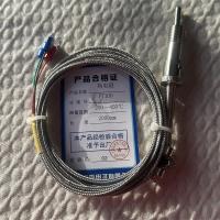 热电阻PT100 2000mm